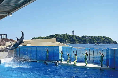 年間パスポート引換券