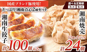 【冷凍】湘南生餃子100個+湘南焼売24個 大容量セット