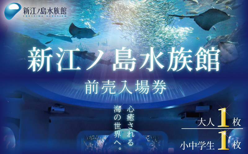 新江ノ島水族館 前売入場券 [ 大人1枚、小・中学生1枚 ]