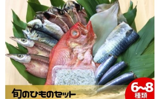旬のひもの詰め合わせ6～8種類 湘南 藤沢 江の島 鈴伝商店