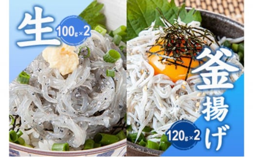 とびっちょ　生しらす と 釜揚げしらす 各2 パック セット 計440g　湘南　