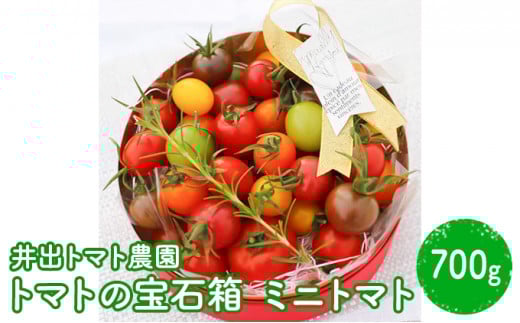 ミニトマト トマトの宝石箱 700g　井出トマト農園