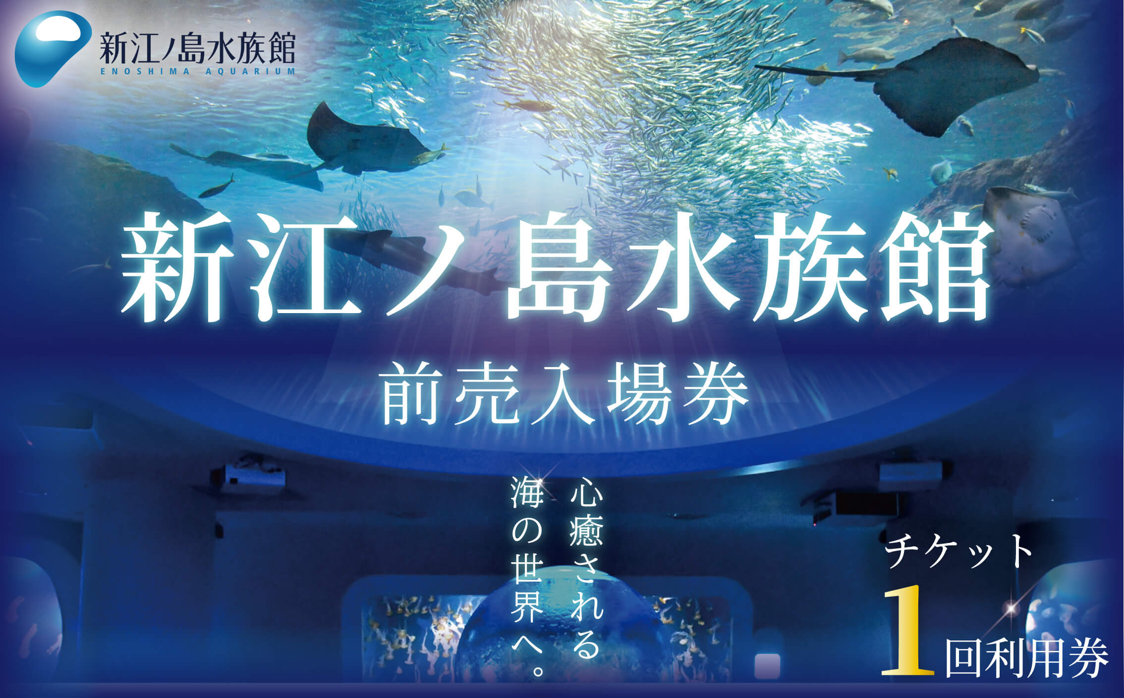 新江ノ島水族館 前売入場券 大人1枚