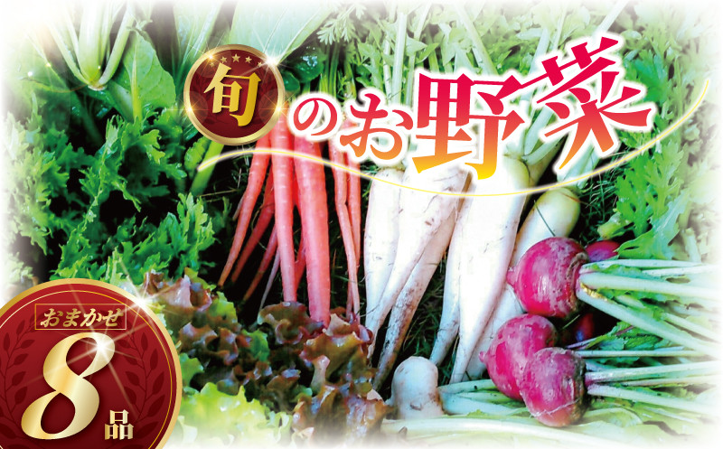 訳あり旬の野菜セット 種類おまかせ 8品