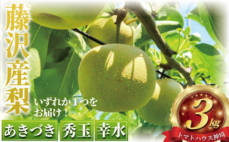 藤沢市産梨3kg( 幸水 あきづき 秀玉)  品種おまかせ