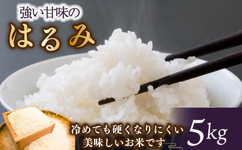 はるみ 5kg 令和7年 新米 神奈川県藤沢産