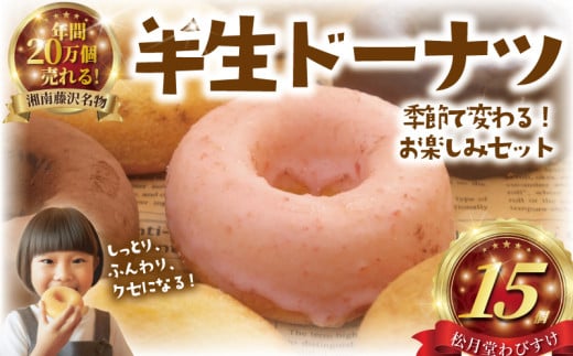 半生ドーナツ 15個 お味おまかせお楽しみセット