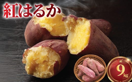 紅はるか さつまいも 9kg 訳あり 秋の味覚！ 数量限定 産地直送