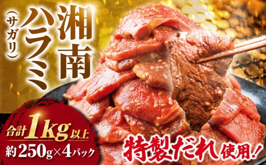 ハラミ（サガリ） タレ漬け 計1kg 以上（約450g × 3 パック）