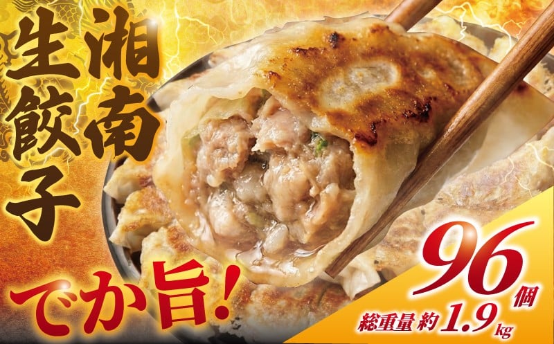 湘南生ぎょうざ　96個