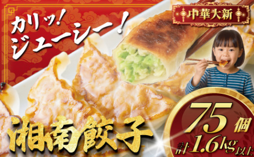 中華大新 餃子75個