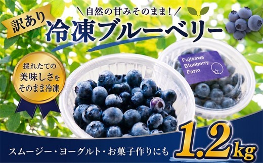 訳あり 冷凍ブルーベリー 1.2kg