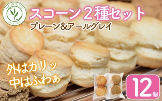 紅茶専門店ティー・イソブチカンパニー 　手作りスコーン ２種セット
