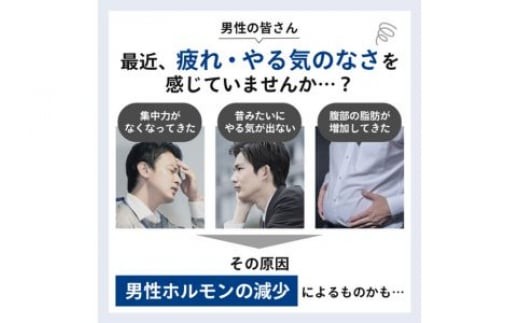 毛髪ホルモン量 測定キット ～ テストステロン ～ 